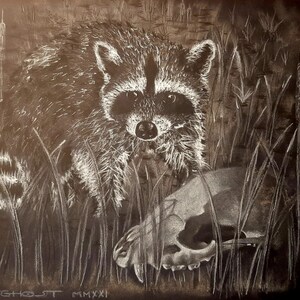 Disegni della fauna selvatica: Lupo solitario, pastelli su carta