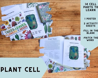 Plant Cell Worksheets & Poster | Ages 7-11 | Digital Print | Homeschool Activity | Fill-in-the-Blank | Matching Quiz | Unschooling | Biology