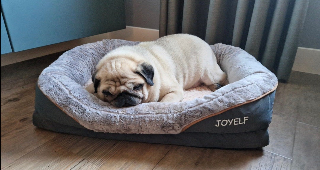 Large Memory Foam Dog Bed, Orthopedic Dog Bed Sofa With