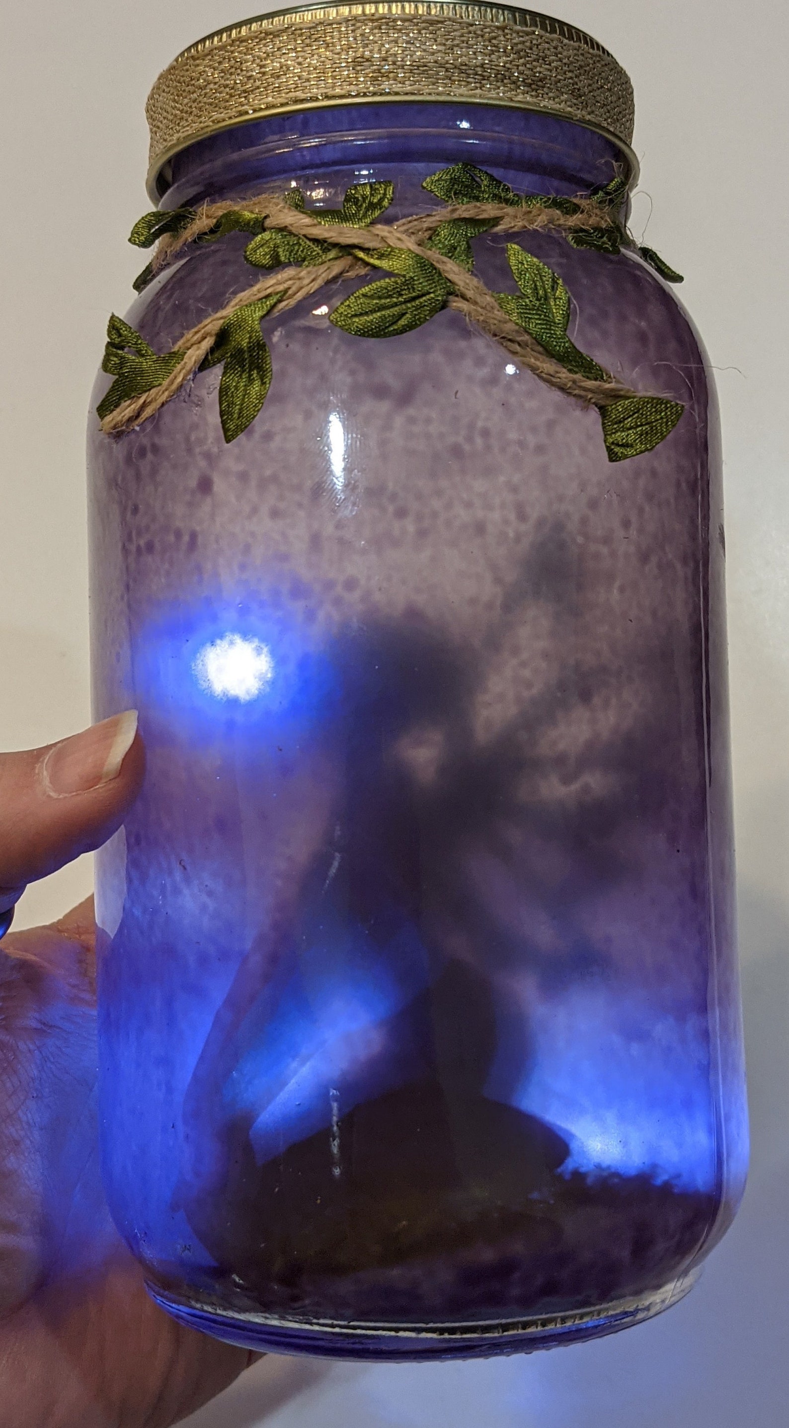 Fairy Shadow Jar Purple Etsy