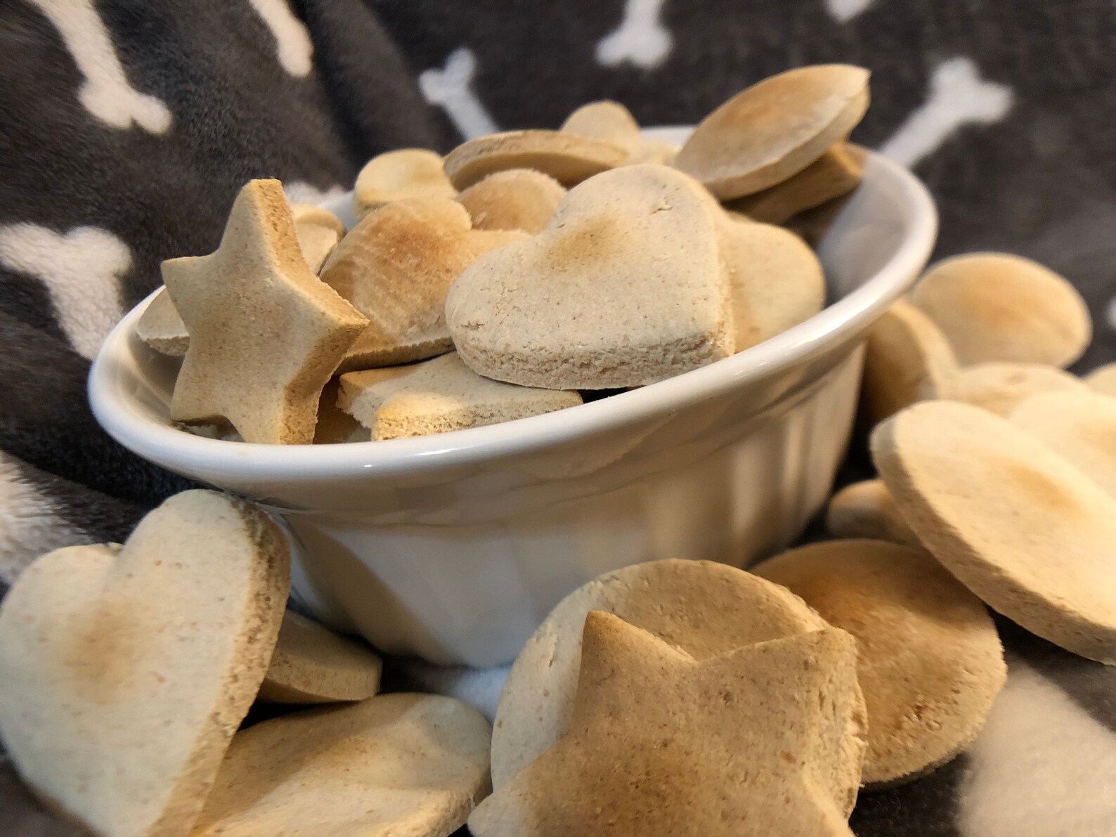 apple cinnamon dog biscuit recipe