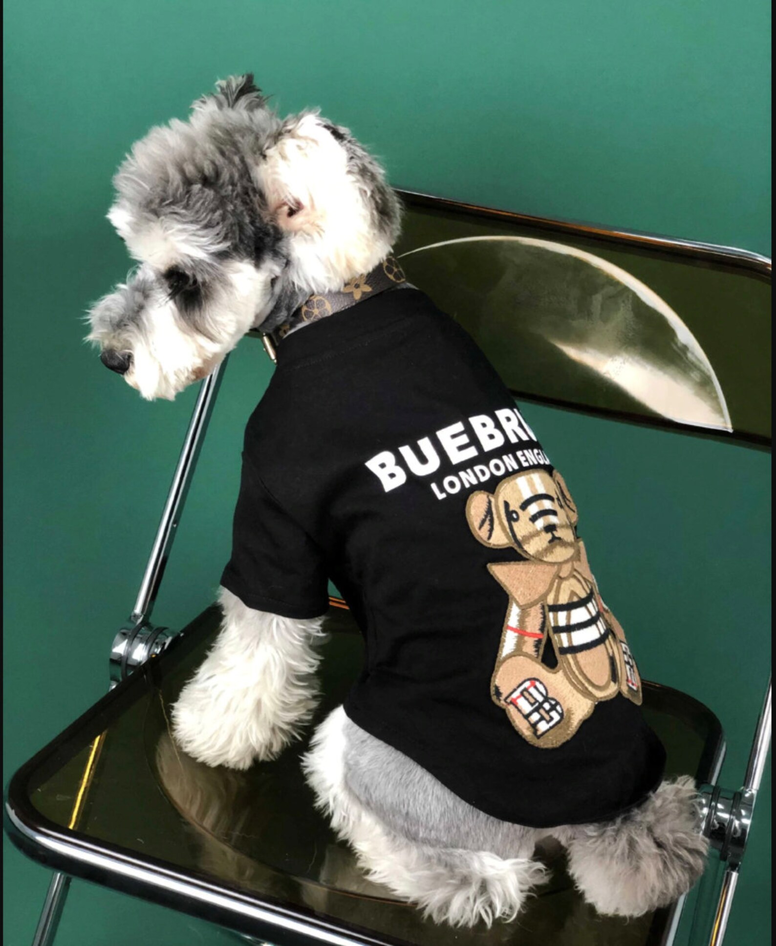 Burberry Dog Edition Summer Thin Cute Clothes Pet Dog Jacket Etsy