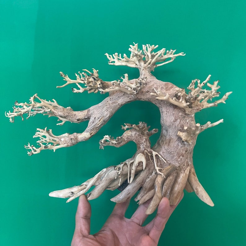 Drift Wood Bonsai Aquarium Plants Aquascaping Wood Fish Tank Etsy