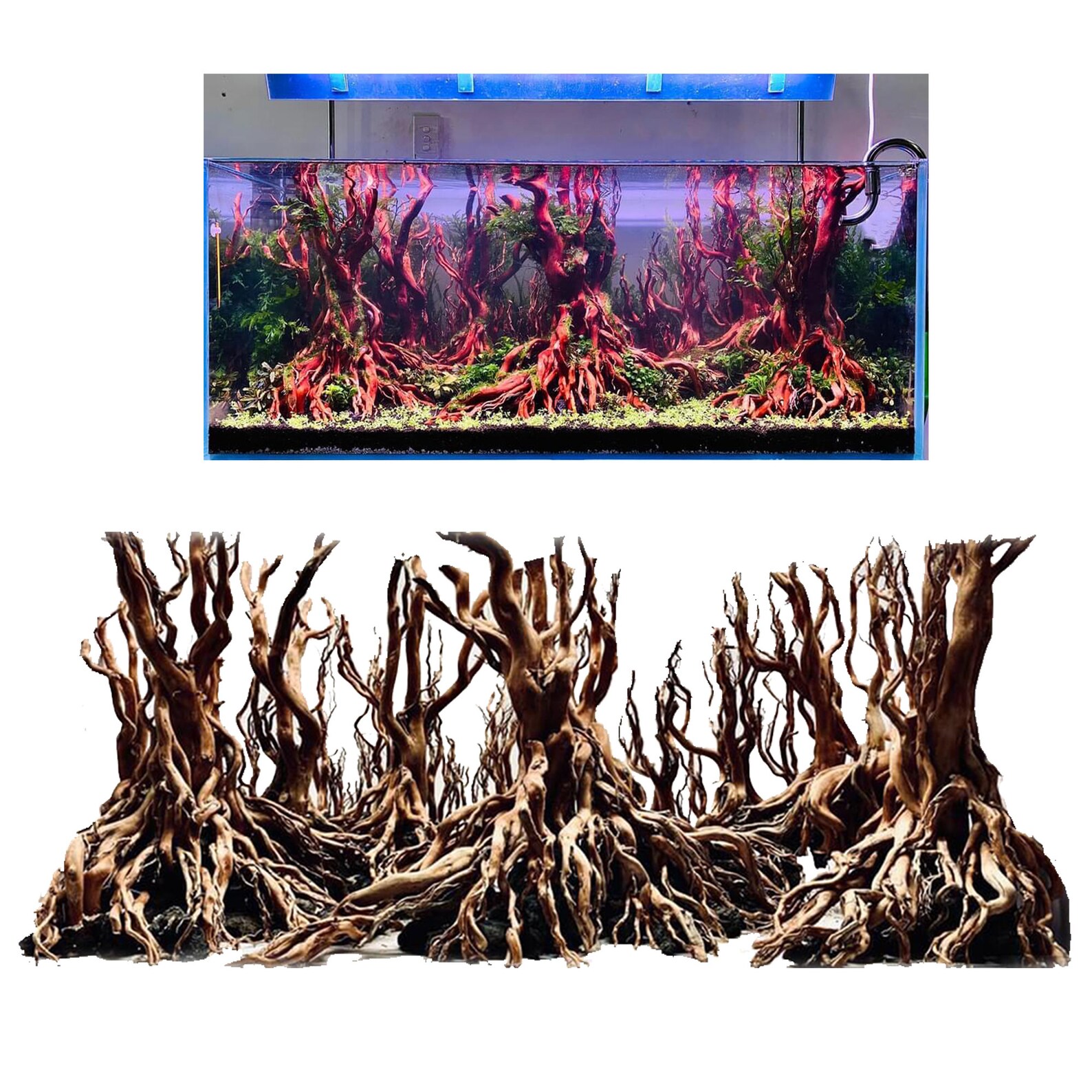 Large Bonsai Driftwood Aquascape Tree Aquarium Plants Fish Etsy