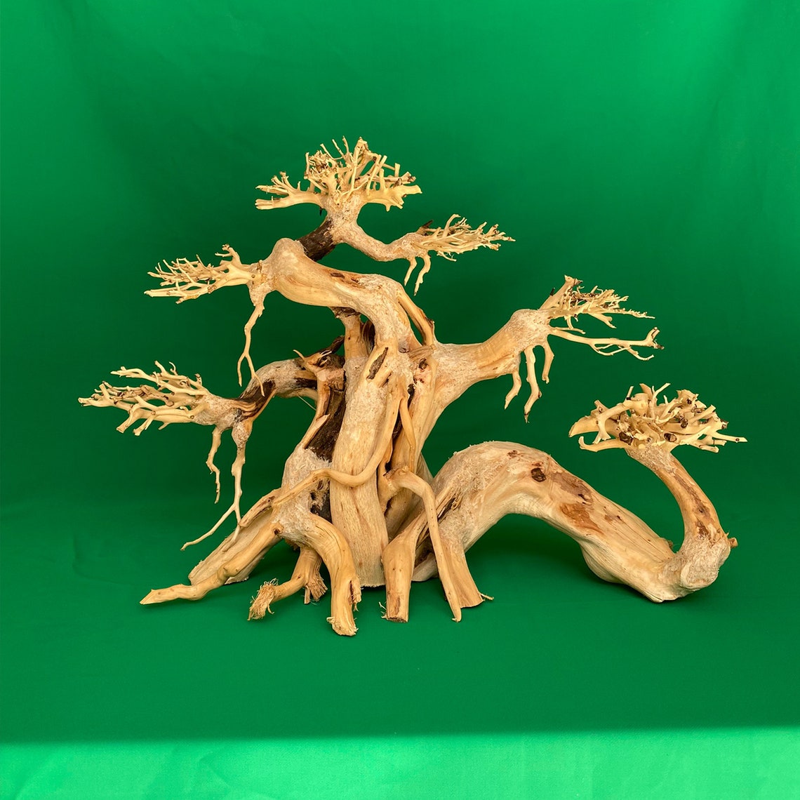 Aquarium Bonsai Tree Aquascape Large Driftwood for Aquarium Etsy