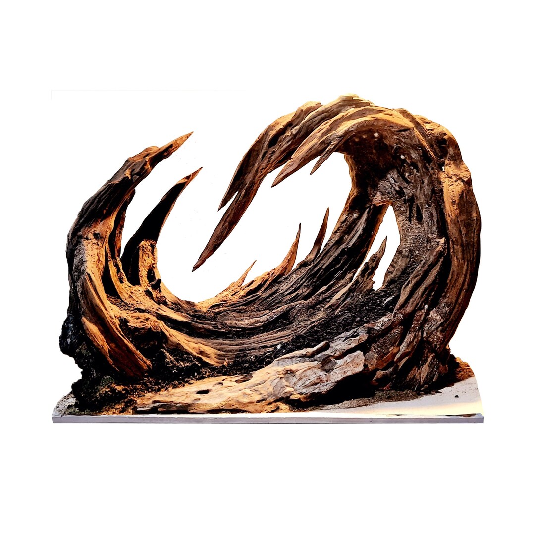 Aquascape Driftwood Aquarium Bonsai Etsy