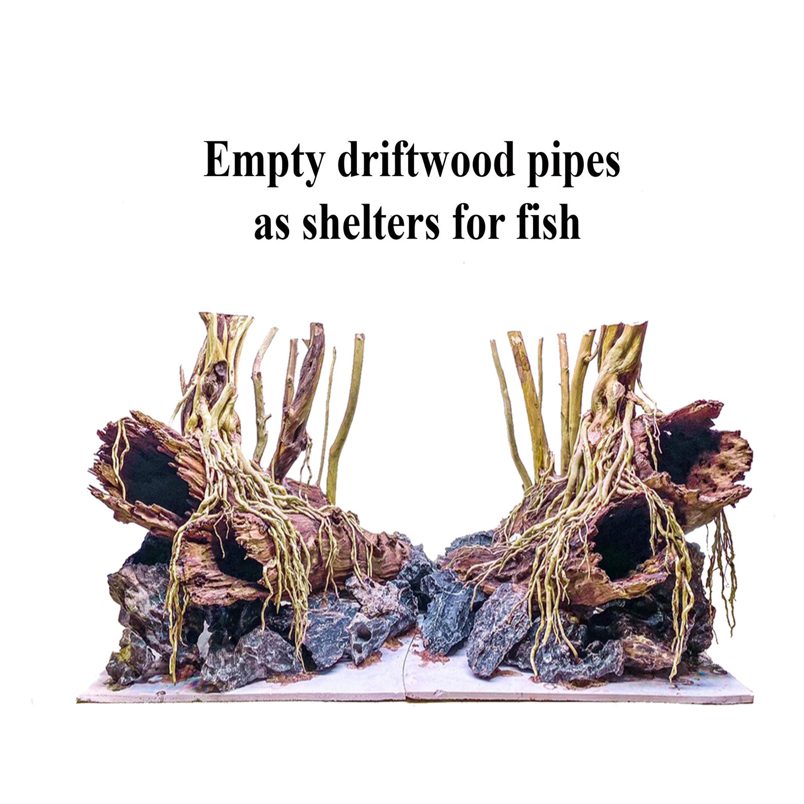 Large Bonsai Driftwood Aquascape With Rocks and Driftwood for Etsy