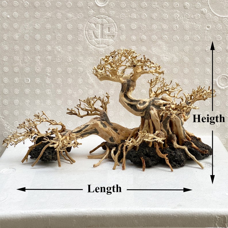 AQUARIUM BONSAI TREE Fish Tank Decor Aquarium Bonsai Etsy