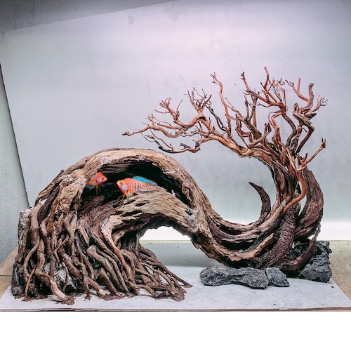 Aquascape Driftwood Aquarium Wood Real Drift Wood for Fish Etsy