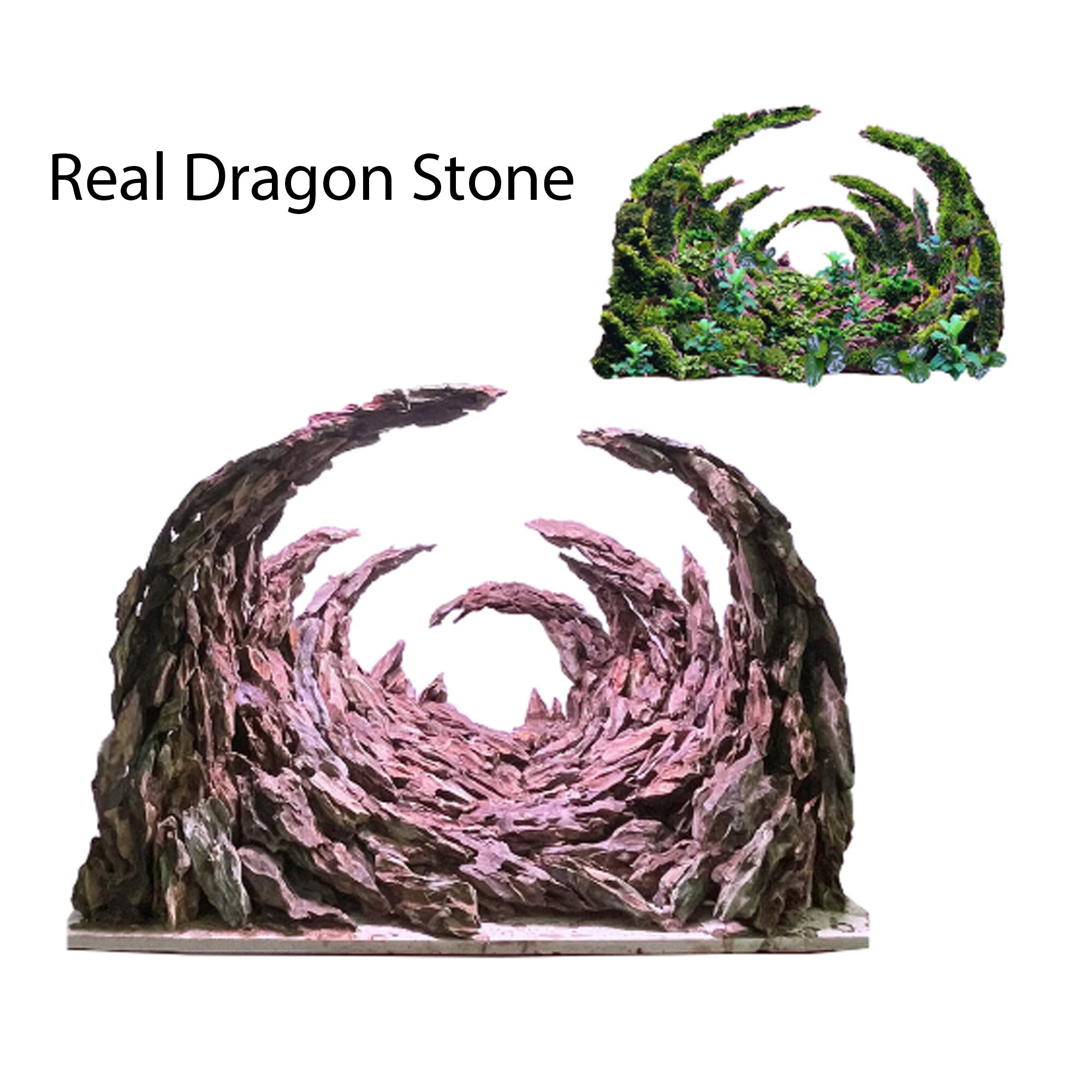 dragon aquascape