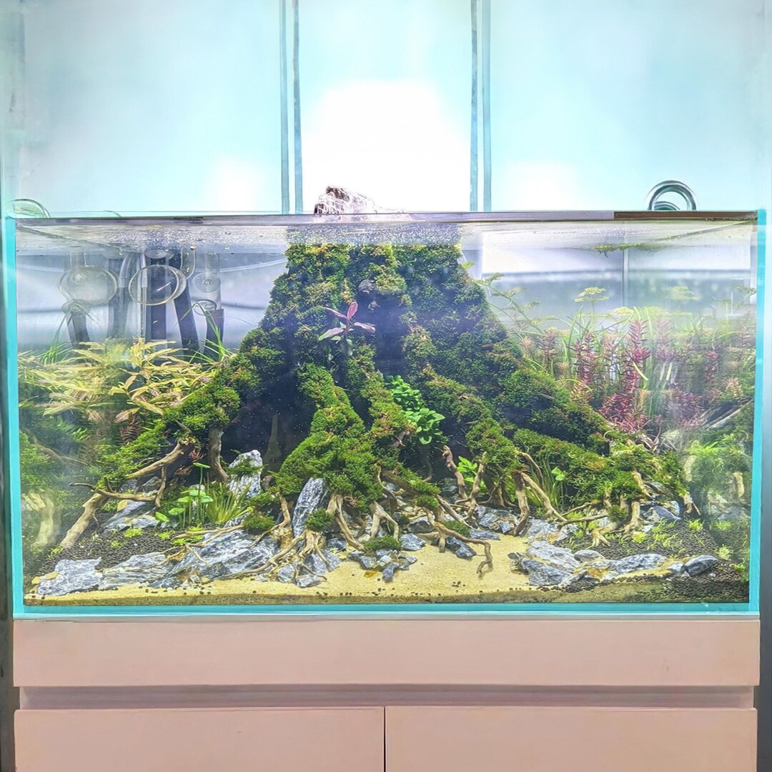 Aquarium Driftwood Large Rock Cave Wood Aquascaping Stump Aquascape Hardscape Fish Tank