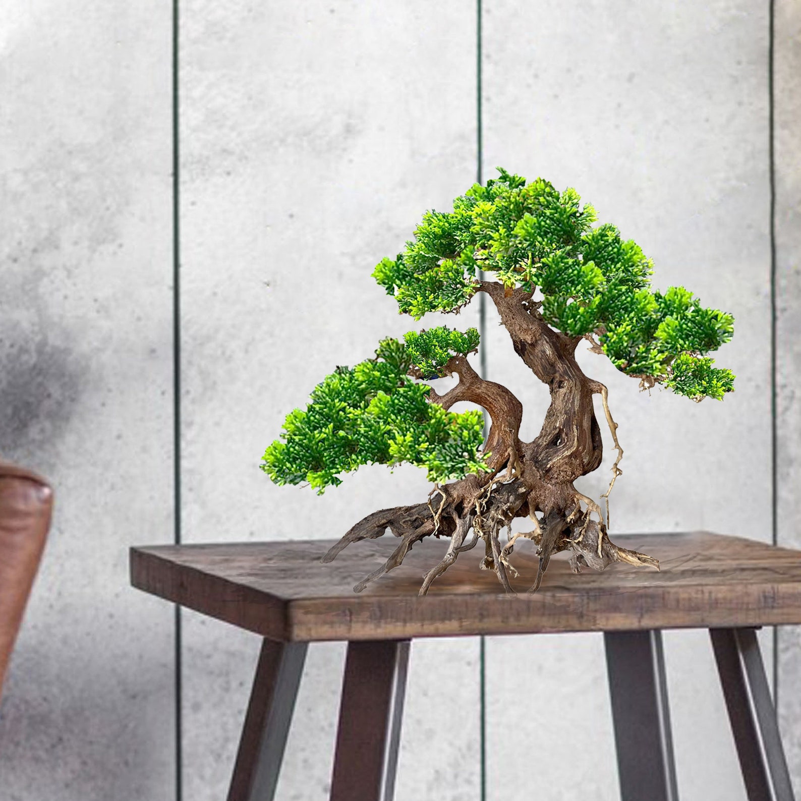 Valse aquarium drijfhout bonsai boom aquarium bonsai boom Etsy