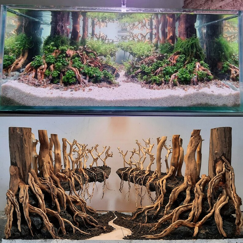 Aquarium Bonsai Tree Aquascape Driftwood Large Fish Tank Etsy