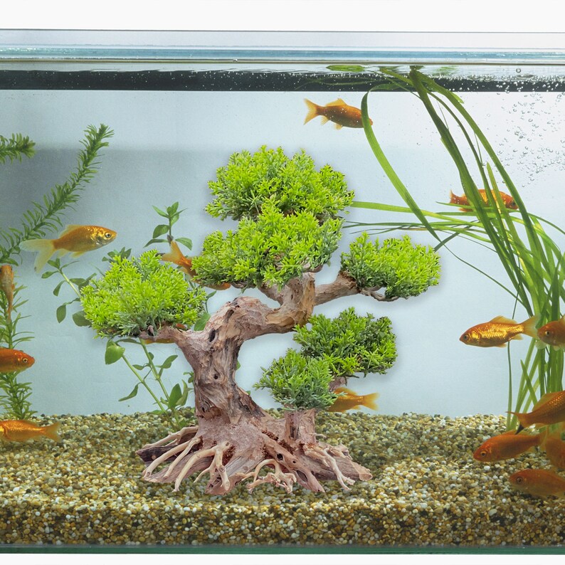 Aquarium Driftwood Bonsai Tree Bonsai Wood for Aquarium Etsy