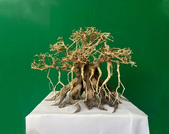 Aquarium Bonsai Driftwood Fish Tank Decorations Wood Large - Etsy