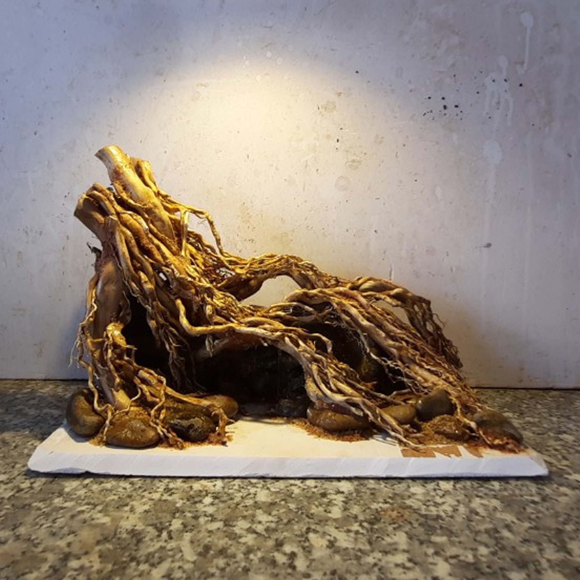 Drift Wood Aquarium Aquascape Bonsai Driftwood for Fish Tank Etsy