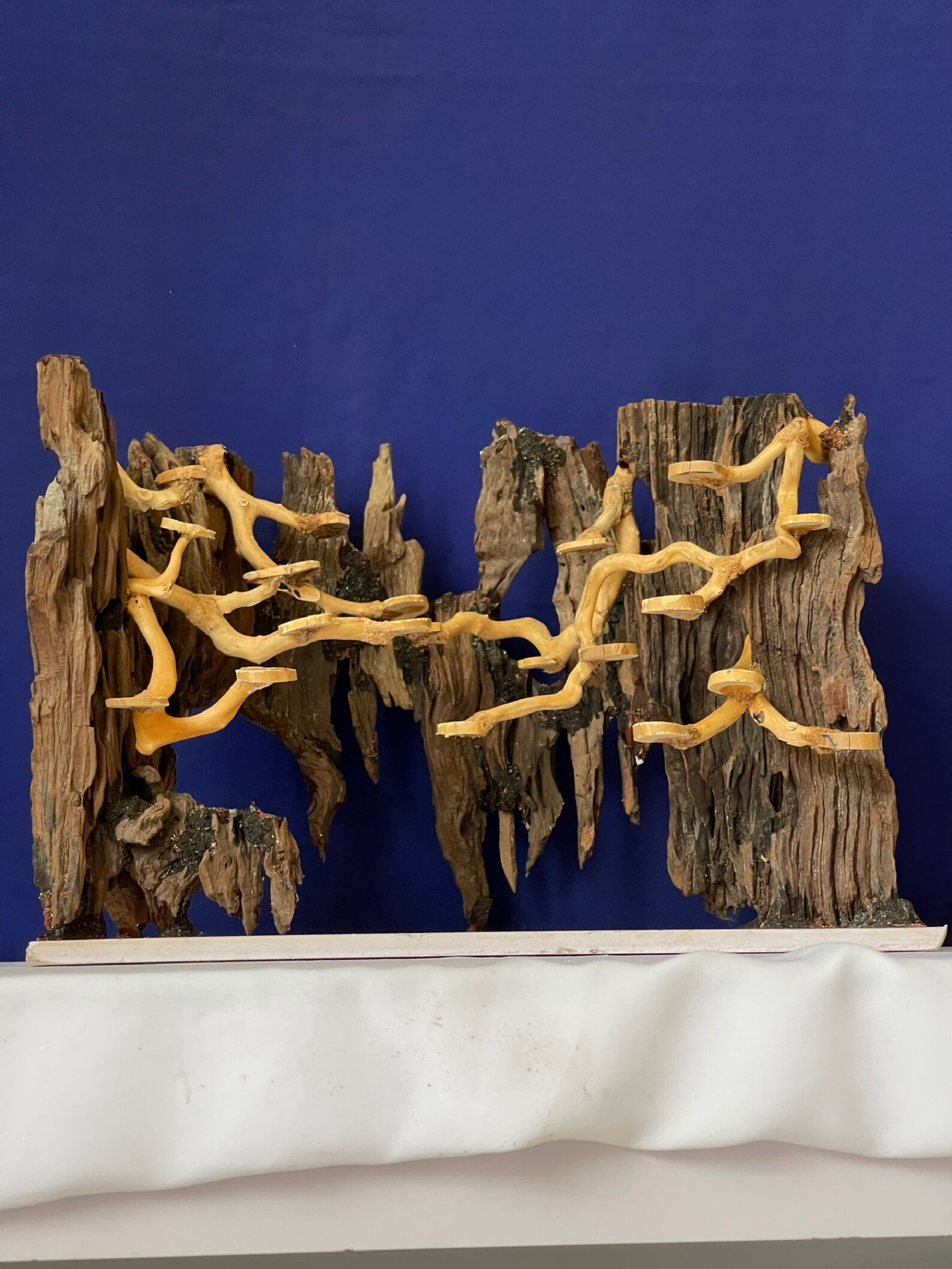 Bonsai Aquarium Driftwood Large Aquascape Drift Wood Hardscape Etsy
