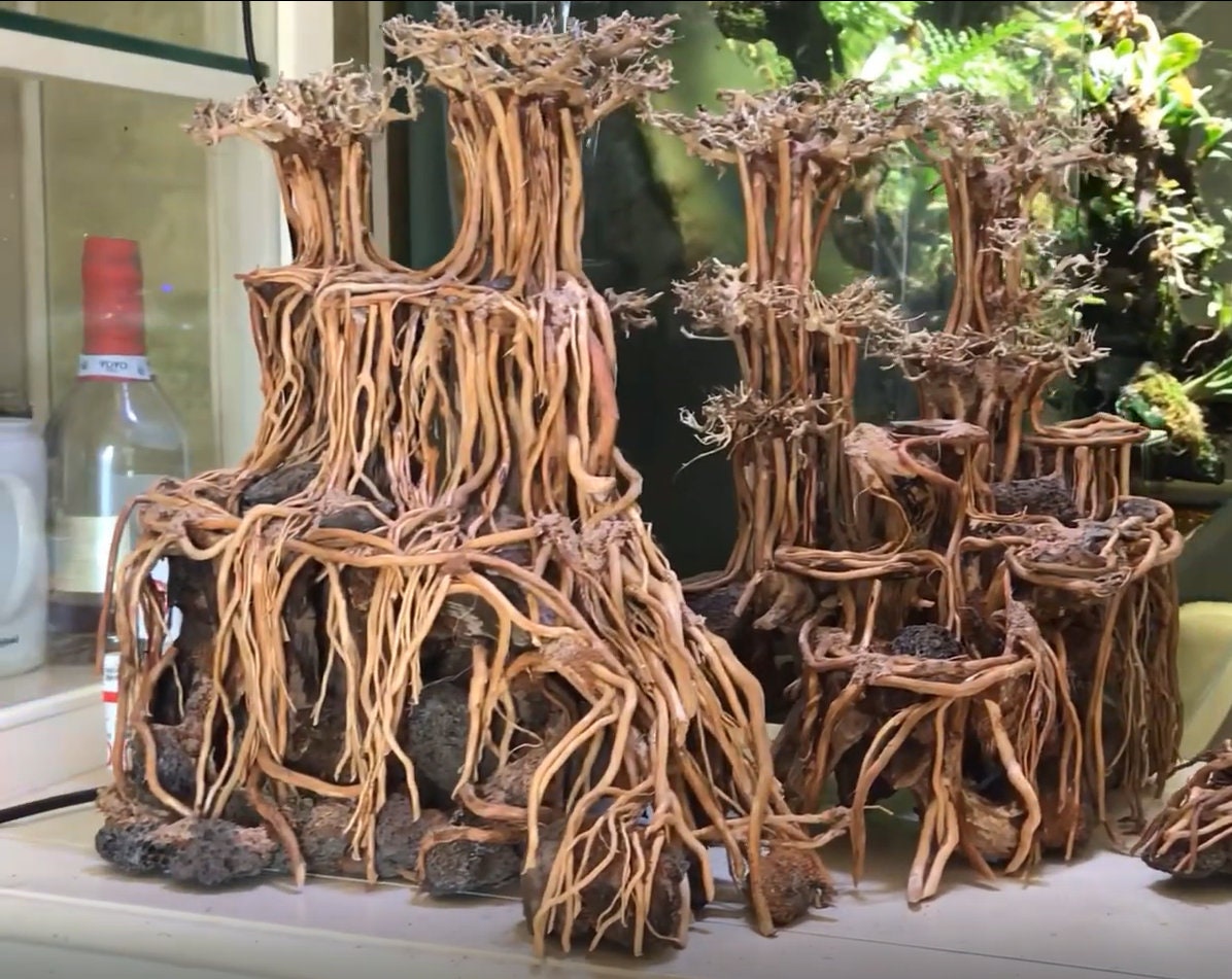 dog park near me with water