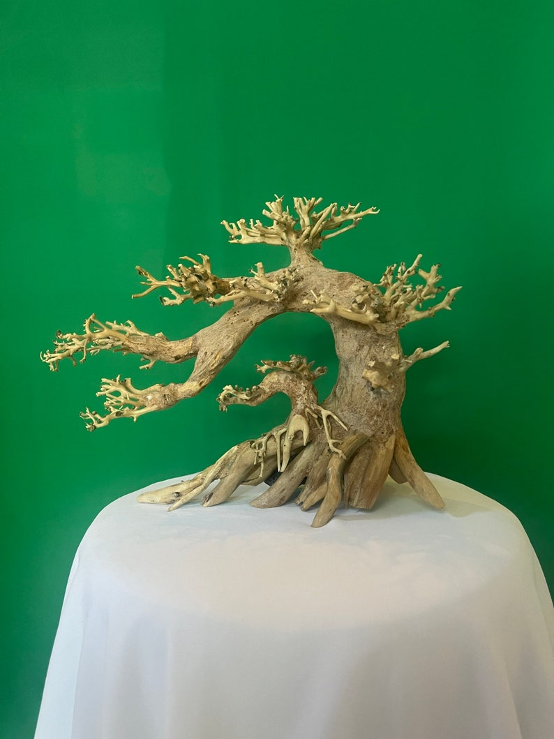 Drift Wood Bonsai Aquarium Plants Aquascaping Wood Fish Tank Etsy