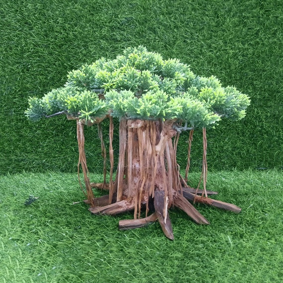 Albero dei bonsai di legni da acquario per la decorazione di