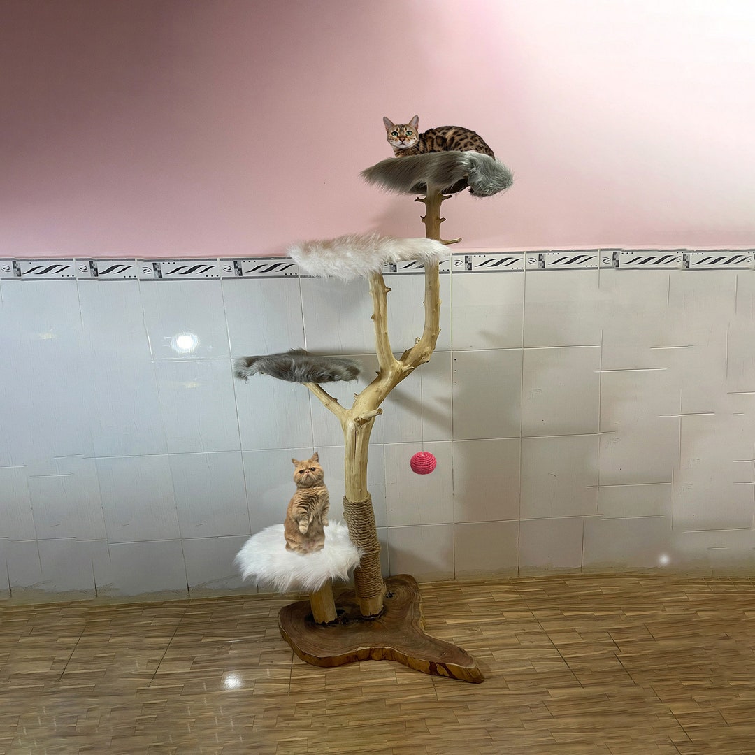 Real Wood Cat Tree for Large Cats Driftwood Cat Tree Tower Modern Solid