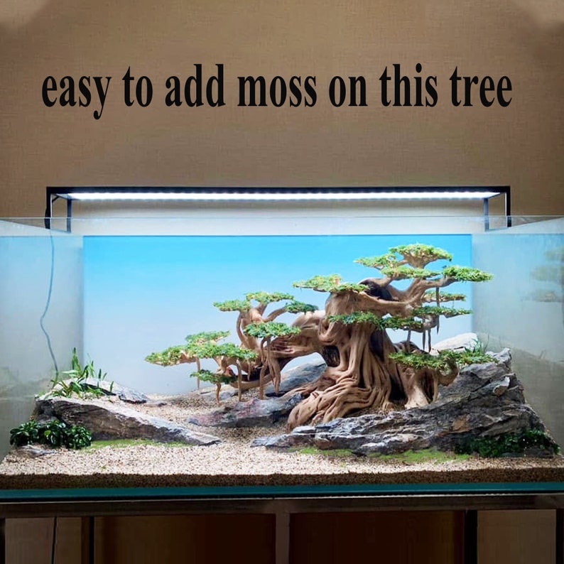 Drift Wood Bonsai Aquarium Extra Large Aquascape Driftwood Etsy