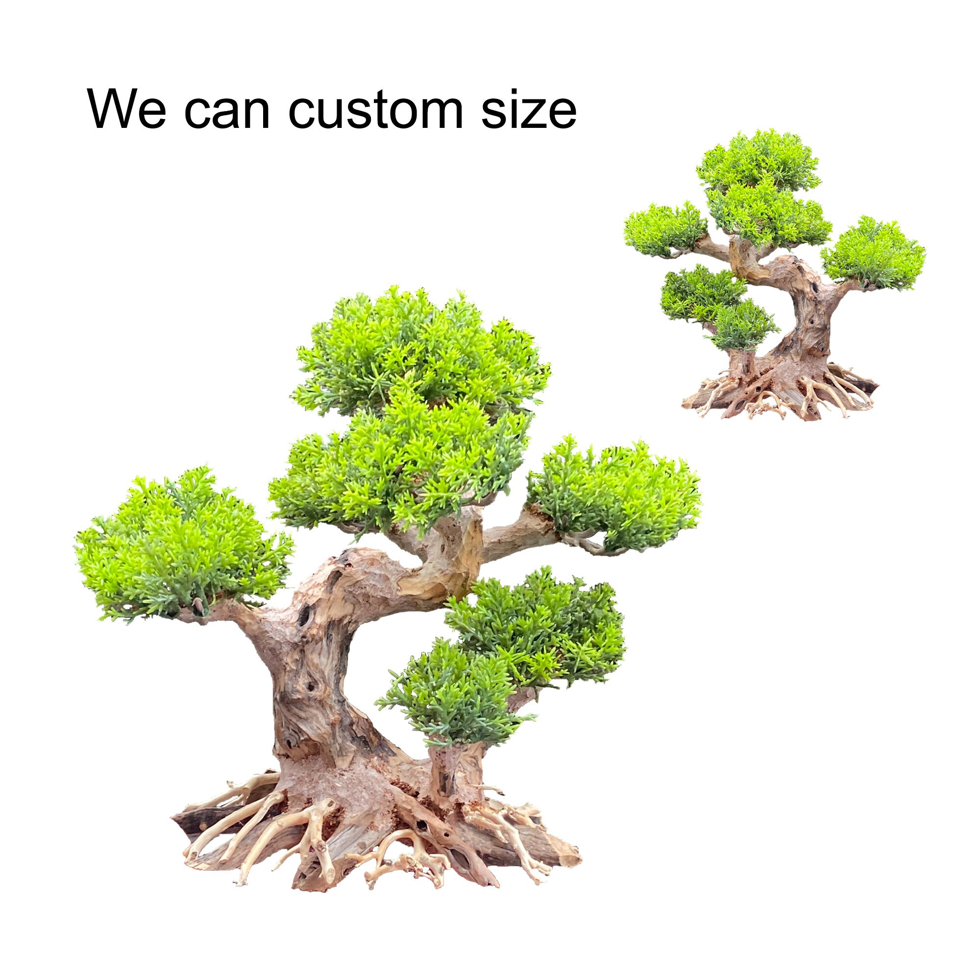 Aquarium Driftwood Bonsai Tree Bonsai Wood for Aquarium Etsy