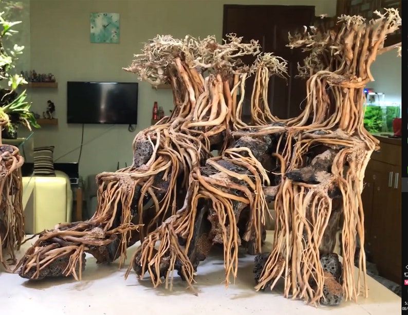 Drift Wood Aquarium Aquascape Aquarium Driftwood Aquarium Etsy Canada