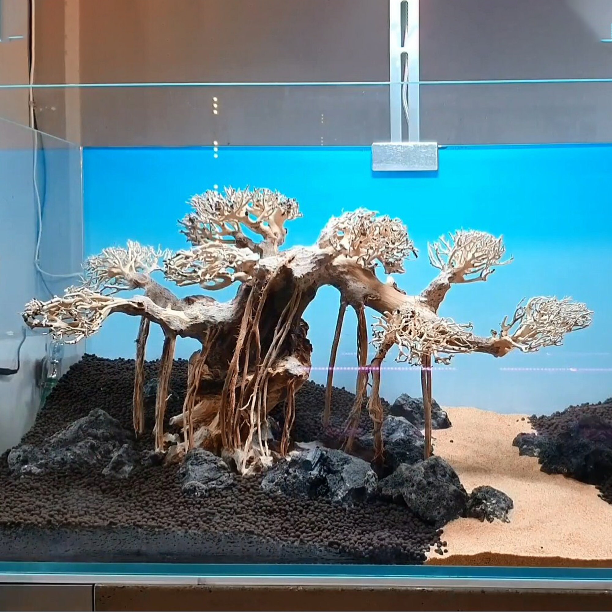 Bonsai Driftwood for Aquarium Aquarium Driftwood Tree Etsy