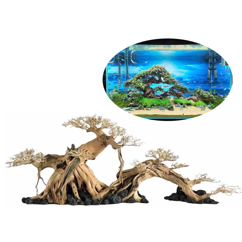 Aquarium Bonsai Tree Large Bonsai Driftwood Bonsai Driftwood Etsy