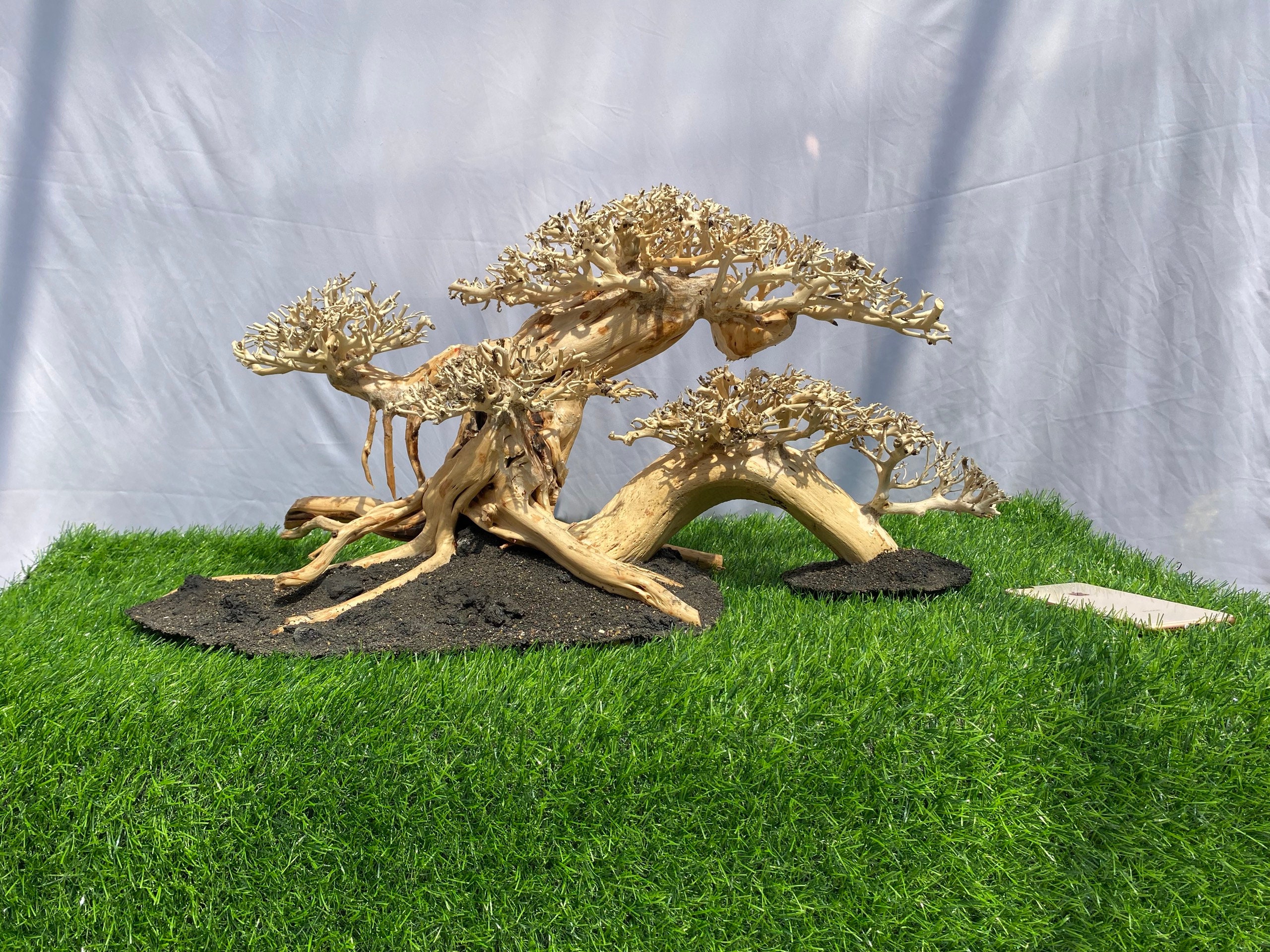 Aquarium Driftwood Bonsai Large Aquarium driftwood bonsai Etsy