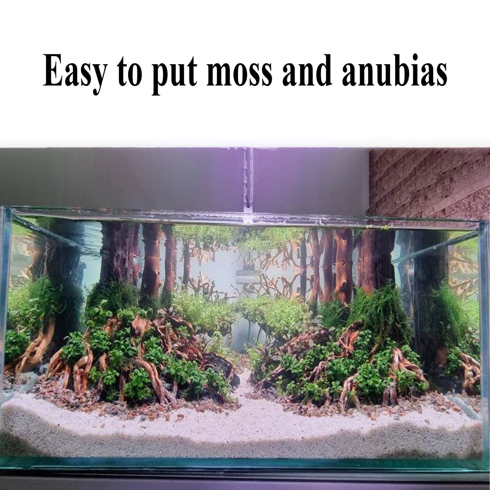 Aquarium Bonsai Tree Aquascape Driftwood Large Fish Tank Etsy