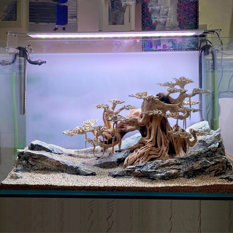 Drift Wood Bonsai Aquarium Extra Large Aquascape Driftwood Etsy