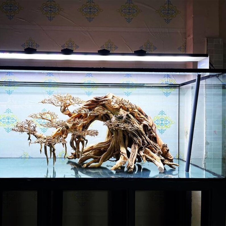 Bonsai Driftwood for Aquarium Large Aquarium Driftwood Tree Etsy