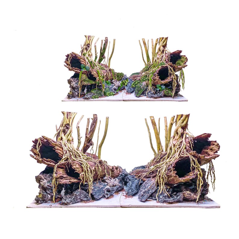 Large Bonsai Driftwood Aquascape With Rocks and Driftwood for Etsy