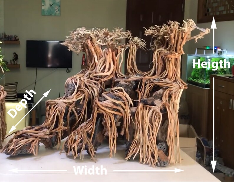 Drift Wood Aquarium Aquascape Aquarium Driftwood Aquarium Etsy Canada