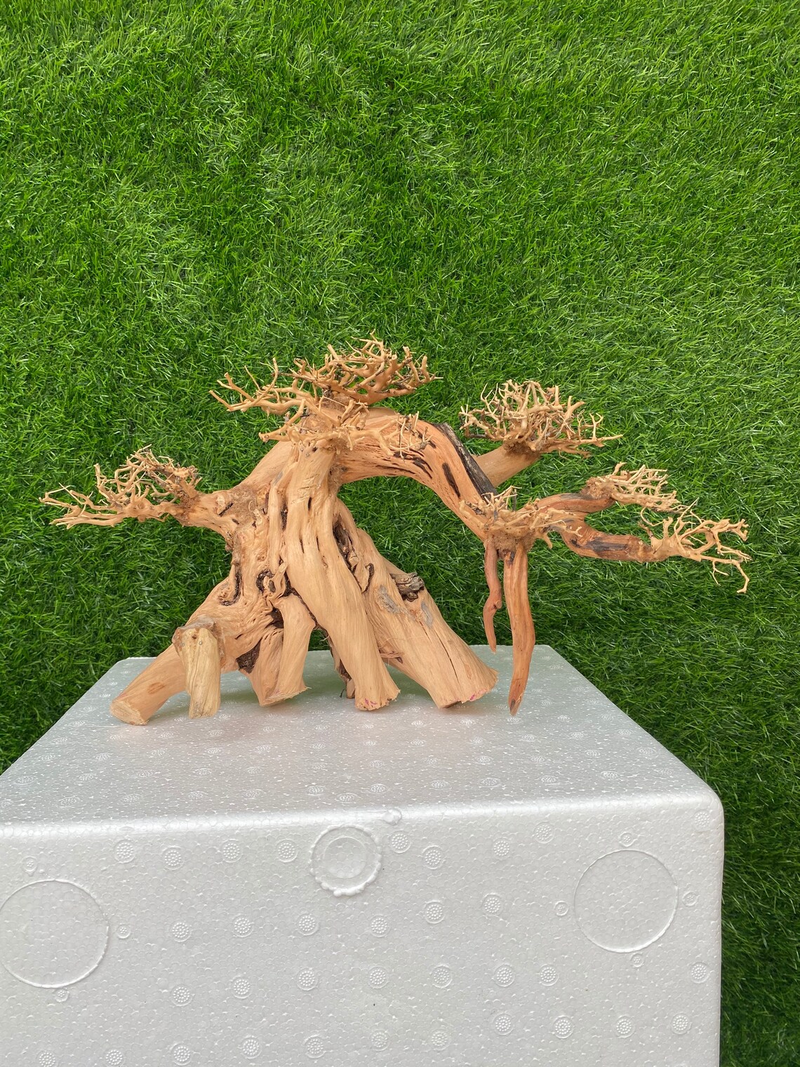 Aquarium Driftwood Extra Large Freshwater Aquarium Driftwood Etsy