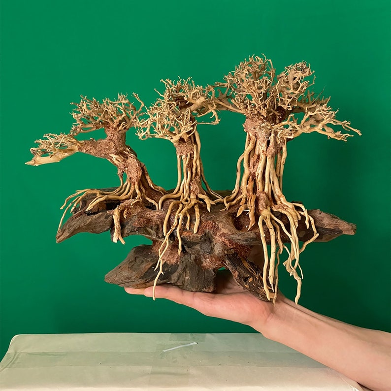 Bonsai Driftwood for Aquarium Wood Large Aquascaping Plants Etsy