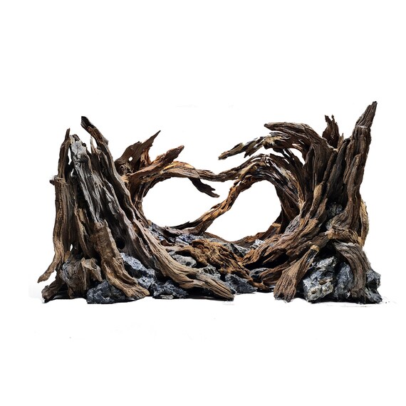 Beukende Sociaal toekomst Buy Large Bonsai Driftwood Aquascape Tree Aquarium Plants Fish Online in India - Etsy Beukende Sociaal toekomst Buy Large Bonsai Driftwood Aquascape Tree Aquarium Plants Fish Online in India - Etsy