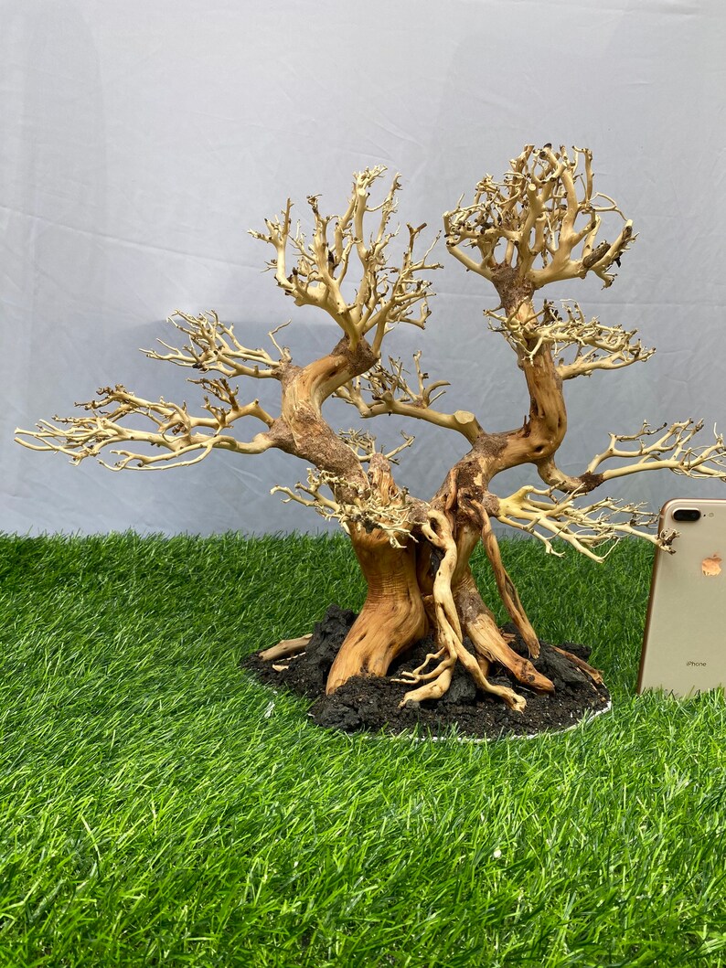 Aquarium Driftwood Bonsai Tree Driftwood Tree for Aquarium Etsy