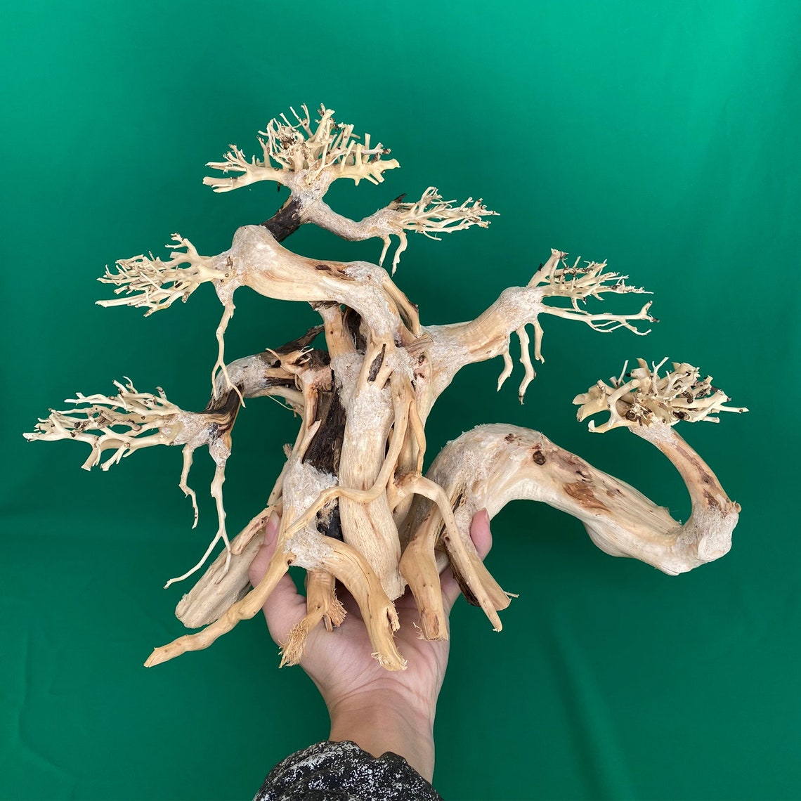 Aquarium Bonsai Tree Aquascape Large Driftwood for Aquarium Etsy