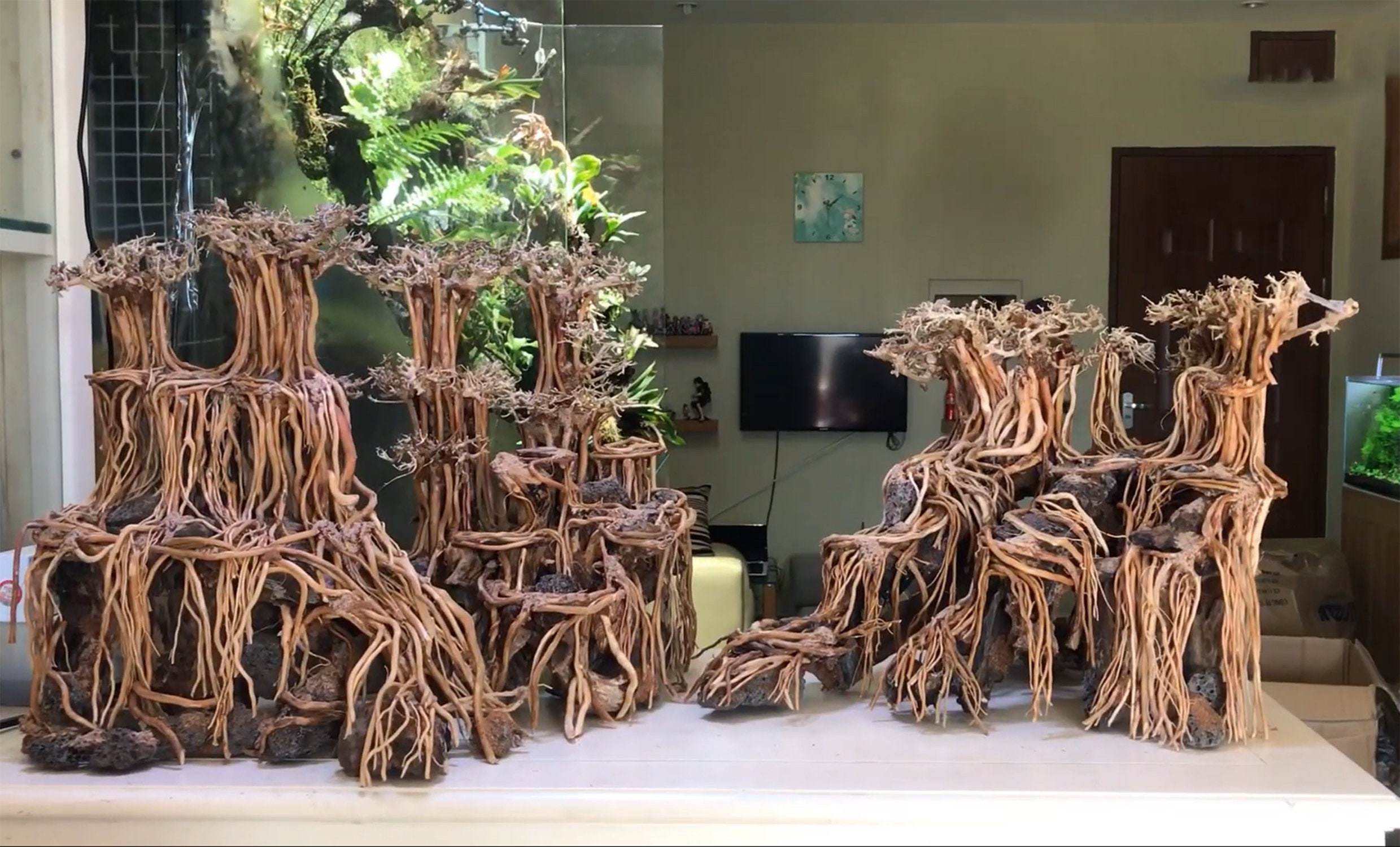 Drift Wood Aquarium Aquascape Aquarium Driftwood Aquarium Etsy Canada