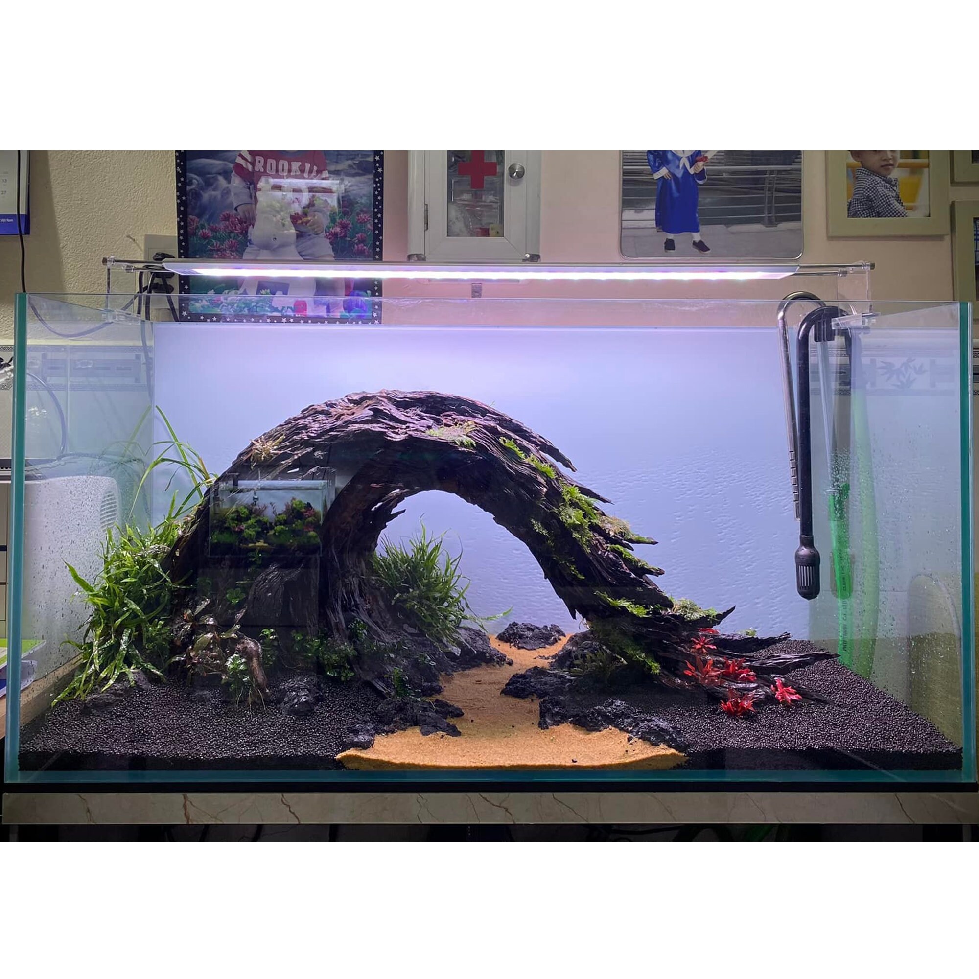 Aquascape Driftwood Aquarium Wood Real Drift Wood for Fish Etsy UK