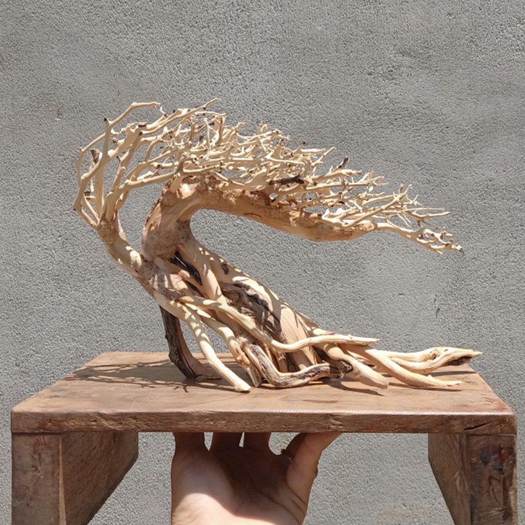 Bonsai Driftwood Aquarium Tree Aquascaping Wood Fish Tank Plants Etsy