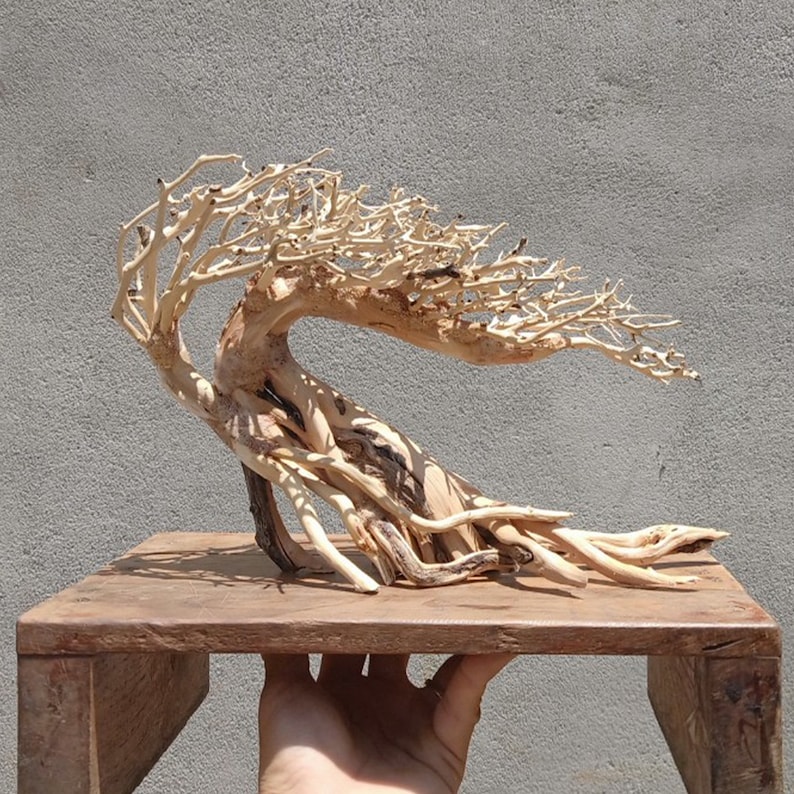 Bonsai Driftwood Aquarium Tree Aquascaping Wood Fish Tank Etsy