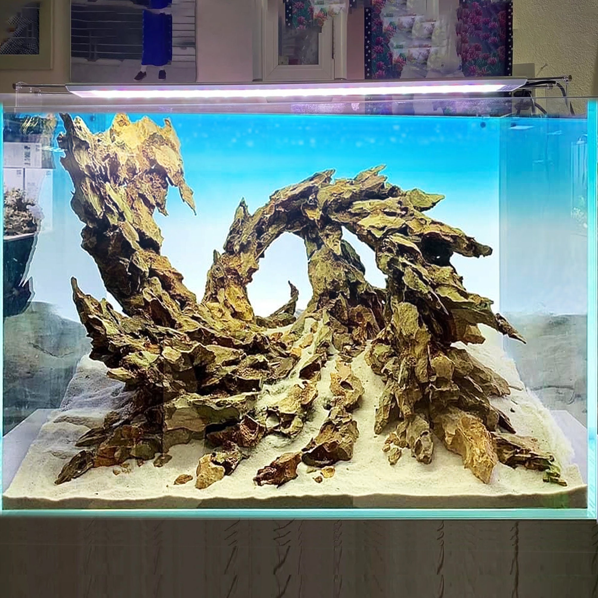 Pietre dell'acquario di pietra del Drago nero lavate ad acqua - Cina  Aquarium Stone, Acquari