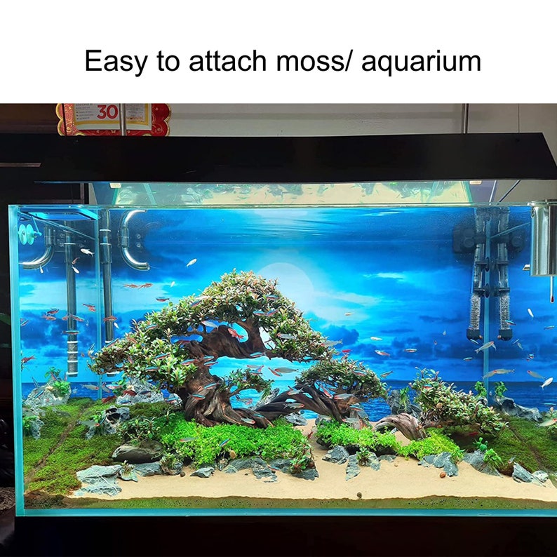 Aquarium Bonsai Tree Large Bonsai Driftwood Bonsai Driftwood Etsy