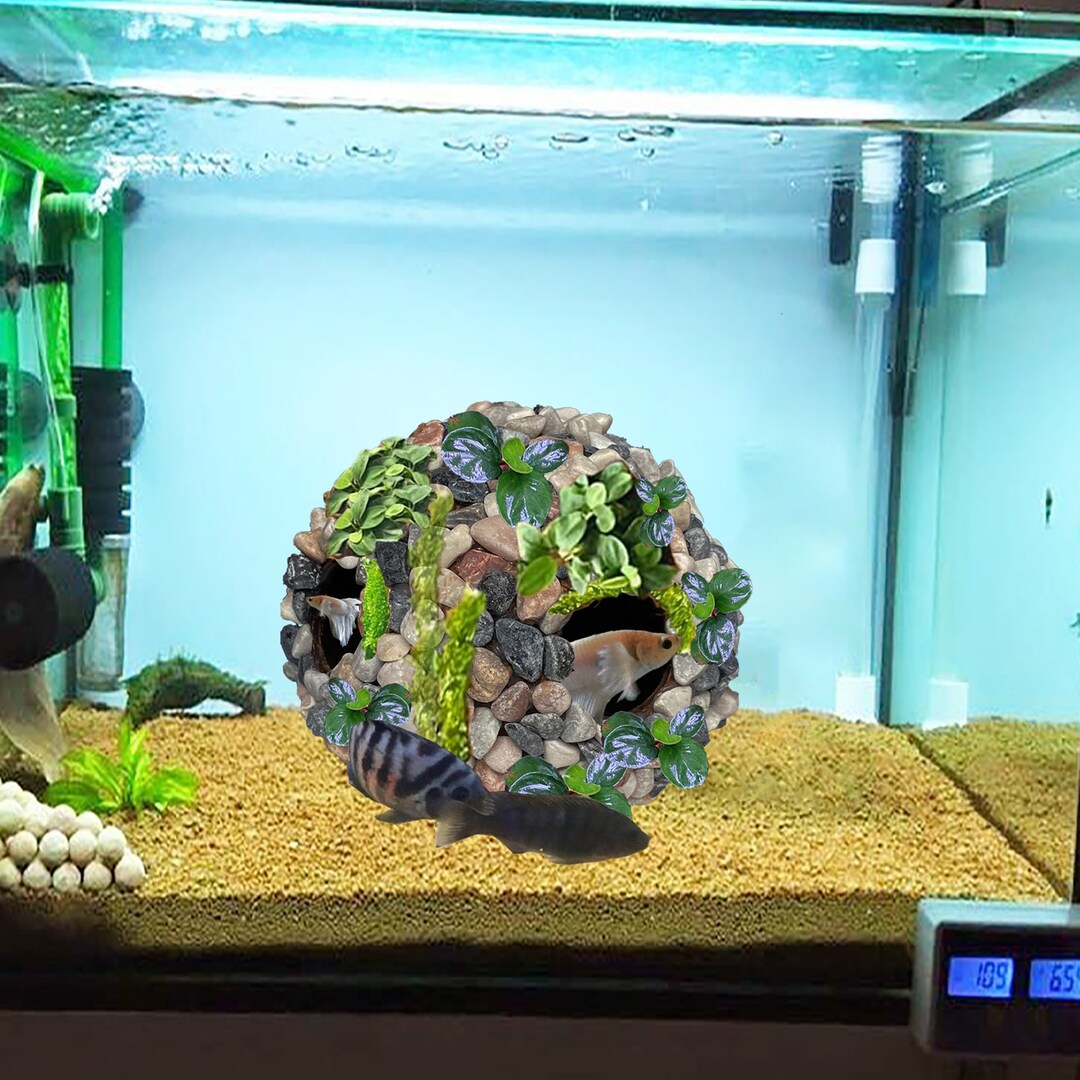 Coconut Hide Aquarium Cave Bonsai Driftwood Aquarium Hardscape Fish