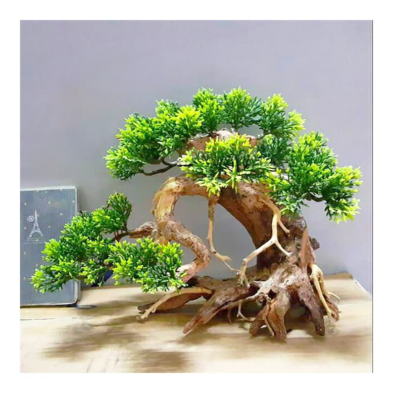Bonsai Driftwood for Aquarium Tree Aquarium Aquascape Wood Etsy