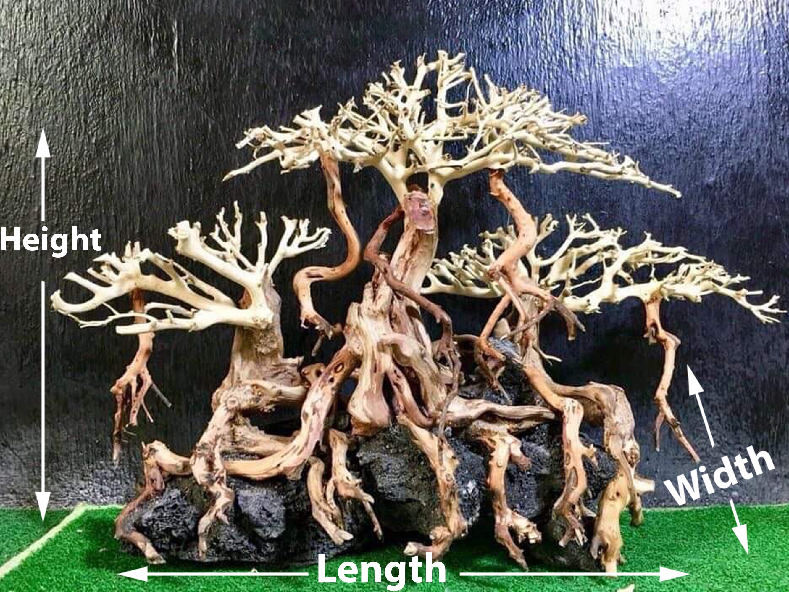 Aquarium driftwood aquarium bonsai tree driftwood aquarium Etsy